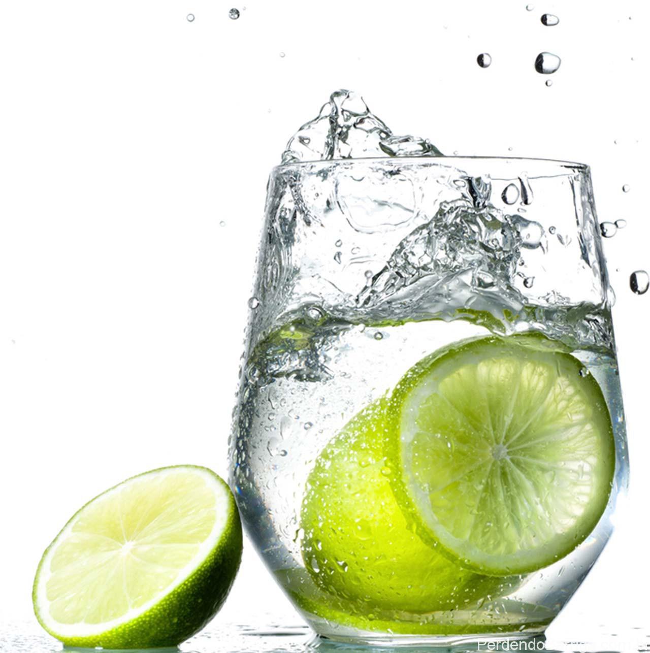EcoJeannie LS0001 Professional Jumbo Stainless Steel Lemon and Lime Squeezer and Juicer, 9.25-Inch, Silver +FREE GIFT: 'Citrus Tap'-2205